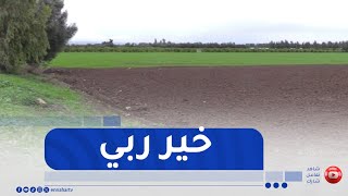 تساقط الأمطار بكميات معتبرة ..  الفلاحون يستبشرون موسما وفيرا