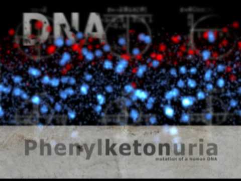 how to treat pku