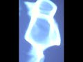 SYNAPSES AQUATIQUES