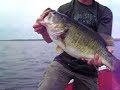 FAT HAWG
