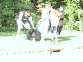 Kids And A Gorilla