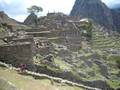 Coral ao vivo em Machu Picchu