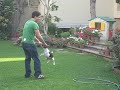 El entrenador y el entrenado