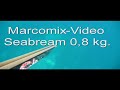 Spearfishing Pescasub Sarago fondo