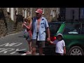 Swarm of Bees in St Ives, Cornwall