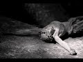 Mariusz Gabrych - C�rka grabarza (Orygina? 1972)
