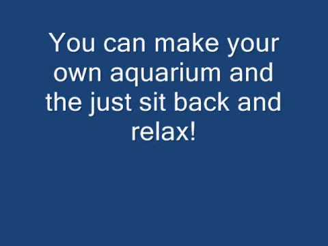 how to get more points on iquarium
