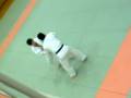 Randori at Kodokan 2