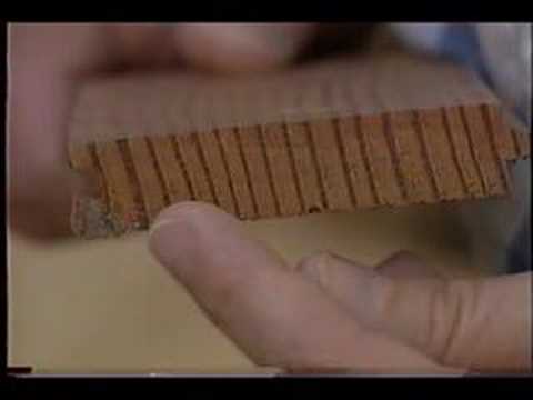 how to determine wood type