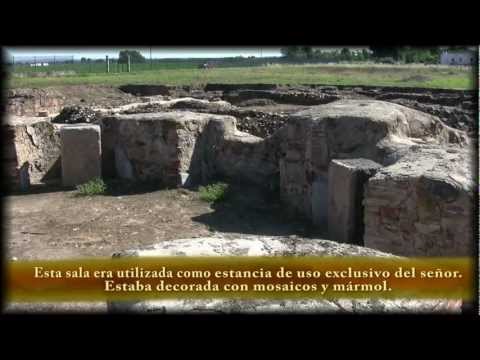 Imatge de previsualització de YouTube