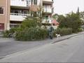 videos de Zala travar