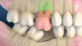 Lucas Soravito-28