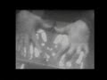 Electric Hands by Ben Houston of Folktek Electric Hands by Ben Houston of Folktek