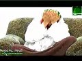 Munajaat - Gataeh Gham Kay Chayeh Dil Pareshaan Ya Rasool Allah - (1of2)