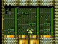 Mega Man 4-Toad Man