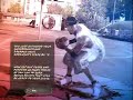 NBA Street homecourt gameplay NBA Street homecourt gameplay