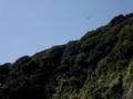 playa de enoshima 2