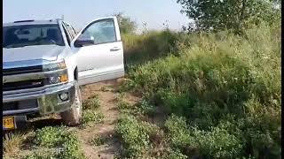 وطني يا عطر فايح مع بكار فحماوي