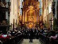 UA Schola Cantorum: 