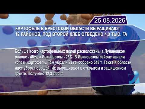 Новостная лента Телеканала Интекс 25.08.26.