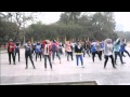 [We bring SS4 to Vietnam] Flashmob of Vietnamese ELF