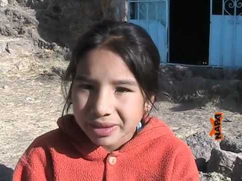 Niños y jóvenes preocupados por el medio ambiente limpiaron un cerro en Ayacucho