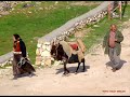 Avni Karaoglu - Saclarini Oremedim,/ADIYAMAN BESNI KLIP!!