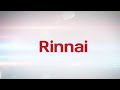 Aquecedor de Água a Gás Digital Rinnai REU E43