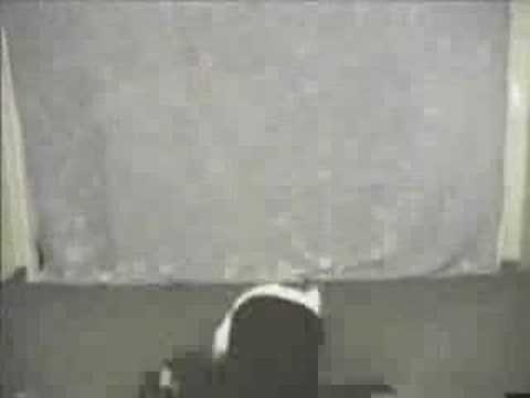 Imagen de previsualización de YouTube