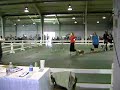 ohio state fair dog show