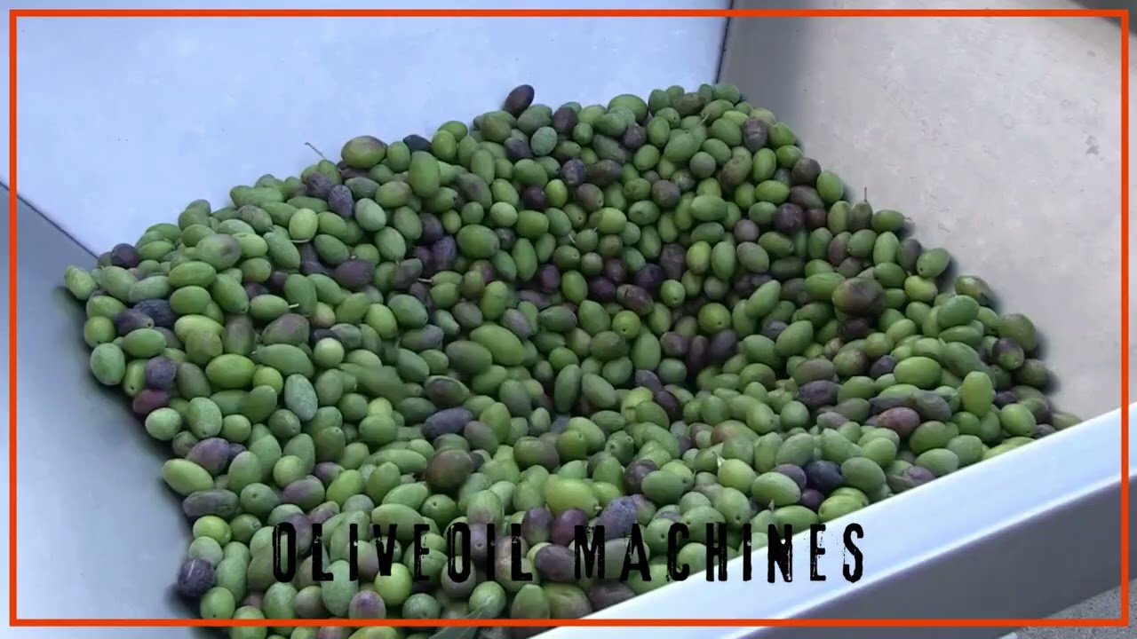 oliveoil machines