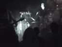 SAINT SPIRIT - SARCOMA/BULLDOGS