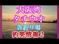 2019年9月4日現在　タチウオ調査団その２　大阪湾　おかっパリ　　太刀魚　各釣り場の釣果情報　釣り場情報　　和歌山　大阪　神戸