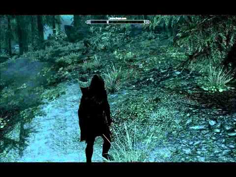 how to get a dog in skyrim