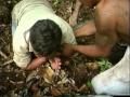 anaconda ataca repórter