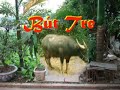 BUTTRE PROFILE IMAGE