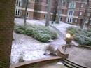 Atlanta snowfall