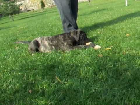 See video
