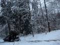 Snowmobiling in CT