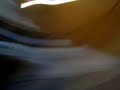 elefante   durmiendo con la luna  live 