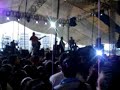elefante   durmiendo con la luna  live 