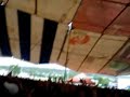 elefante   durmiendo con la luna  live 
