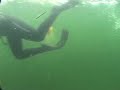 Alaska Snorkeling