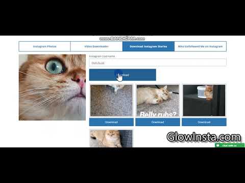 Messy Facts About Instagram Story Downloader Online Exposed
