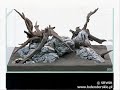 Proces tworzenia akwarium w stylu Japo?skim  - Takashi Amano