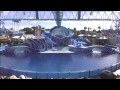2013 Blue Horizons at SeaWorld San Diego