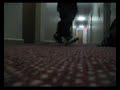 Short Clip