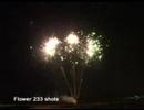 233 schot