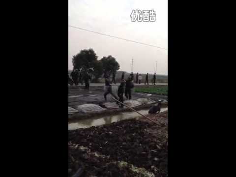 See video