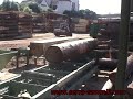 SERRA - industrial sawmill solution #2